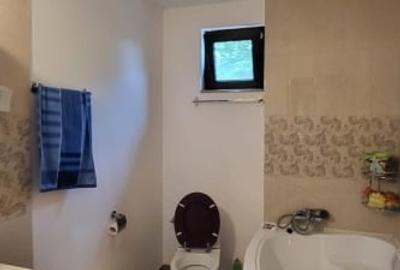 Casa parter, com Lipanesti,  jud Prahova, 1000mp, garaj, beci - 10