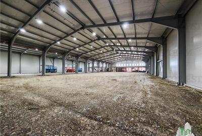 Spațiu industrial, de 4,000 mp, în Balotești - 4