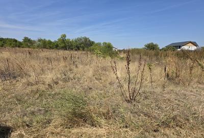 Comuna Branesti, Sat Vadul Anei pe strada Closca, 1650 mp Comuna Branesti, Sat Vadul Anei pe strada Closca, 1650 mp - 10