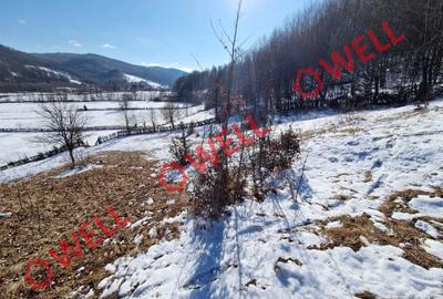 De vânzare teren extravilan în com. Vama Buzăului, Sat Buzăiel! - 4