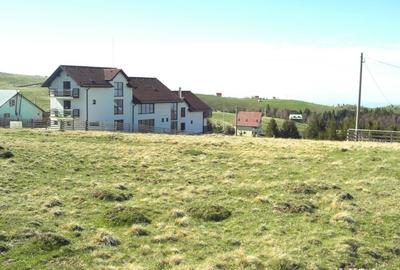 Teren de 10632 mp, în Paltin - 4