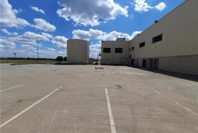 Spatii Industriale - 9000 mp - Productie - Depozitare - Distributie - 10
