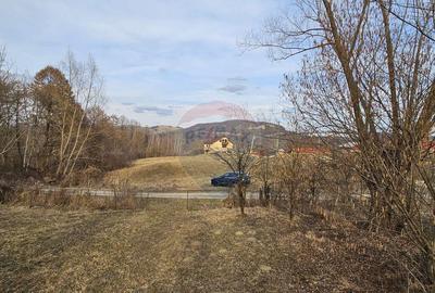 Teren Plaiu_Provita de Sus- intravilan 5373 mp_deschidere... Teren Plaiu_Provita de Sus- intravilan 5373 mp_deschidere... - 1