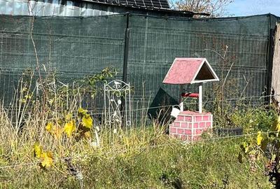 Casă cu 2 camere cu Teren 1100 Mp în Biharia - 7