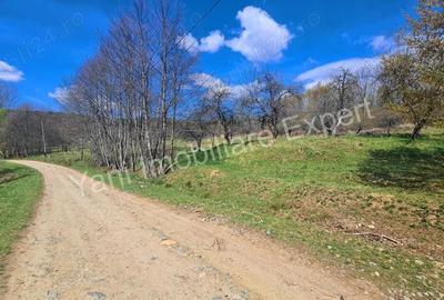 Teren de 9364 mp, în Central - 3