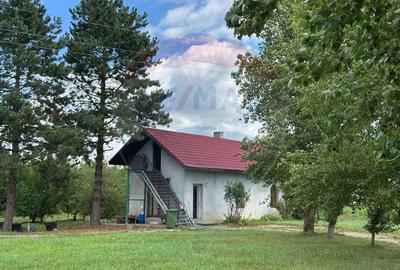 3.7 ha TEREN INTRAVILAN cu CASA si BALTA PESTE - 2