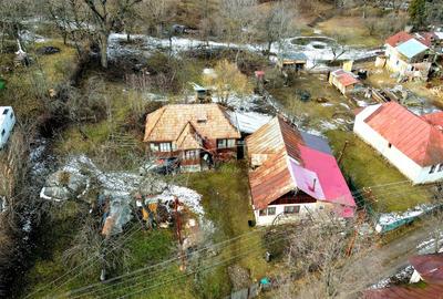 Teren Construcții de 3948 mp, în Provița de Sus - 2