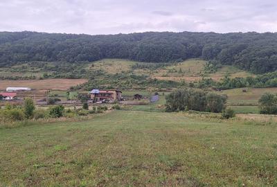 Teren de 1500 mp, în Corunca - 1