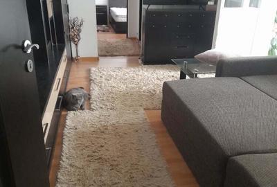 Apartament cu 2 camere decomandat în Caransebeș - 1