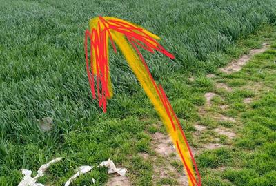 Teren intravilan lipia ilfov langa padure 3800 mp - 1