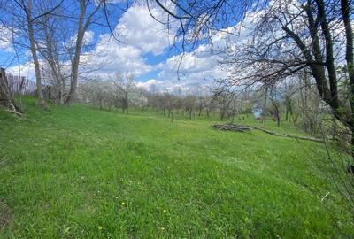 Spațiu comercial, în Pietriceaua - 5