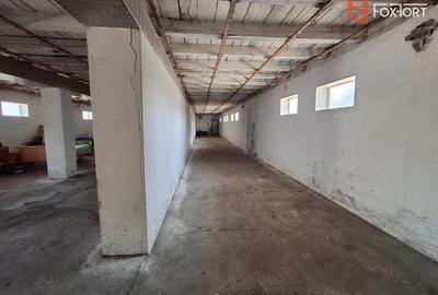 COMISION 0% Spatiu industrial de 695 mp si teren de 1821 mp - Giulvaz - 13