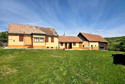 Casă cu Teren 1280 Mp în Alămor - 5