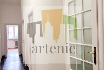 Pache Protopopescu- Plantelor parter in vila - 11