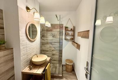 Apartament cu 2 camere semidecomandat, mobilat în Micălaca - 7