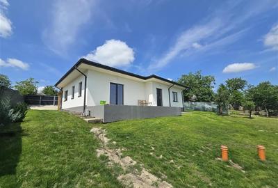 Casa  - Panoramic Probota - 16