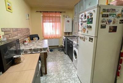 Casa cu Garaj,Zona Sagului,Musicescu, Teren 457 mp,suprafata construita 240 mp - 12