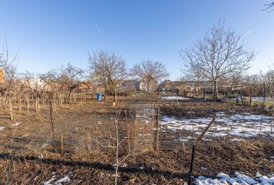 Gospodarie autentică bănățeană, cu teren generos și livadă – Frumușeni - 14