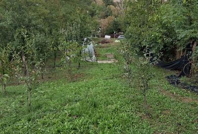 Spațiu comercial, în Românești - 5