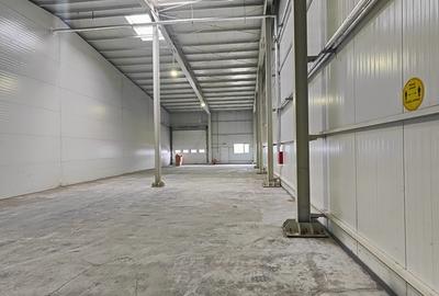 Spațiu industrial, în Stupini - 3