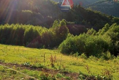 Teren intravilan cu priveliste superba catre munti, Moeciu de Jos - 7
