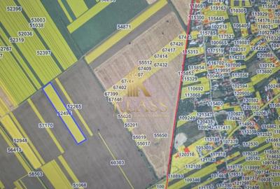 Teren agricol intravilan de 17000 mp, în Est - 3