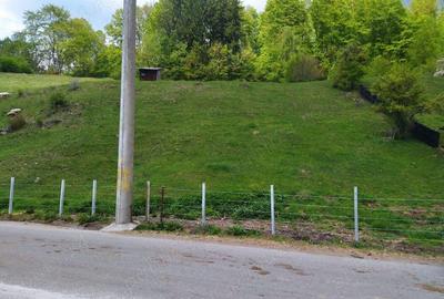 Namaesti - Valea Mare Pravat, 7000 mp. teren intravilan cu pozitie excelenta - 3