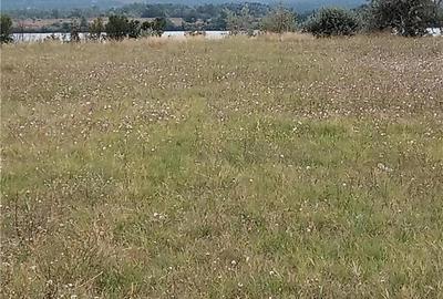 Teren de 2200 mp, în Moldova Veche - 6