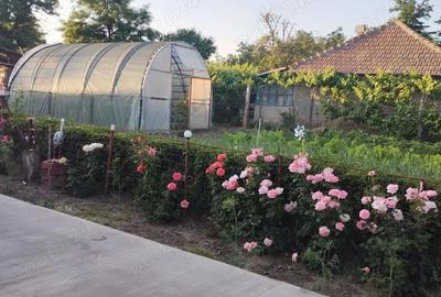 Casă cu 3 camere cu Teren 1000 Mp în Frăsinet - 2