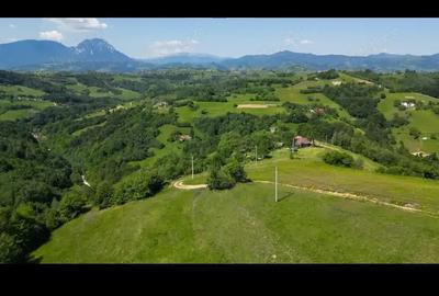 25 km de Brasov , 60 m2 constructii , 12 000 m2 - 4