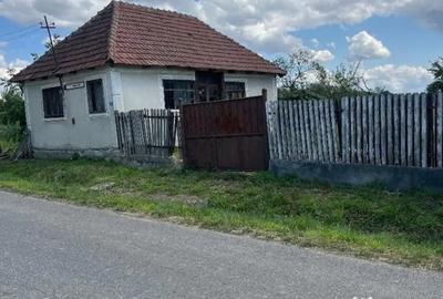 Casă cu 2 camere cu Teren 3208 Mp în Cărăndeni - 2