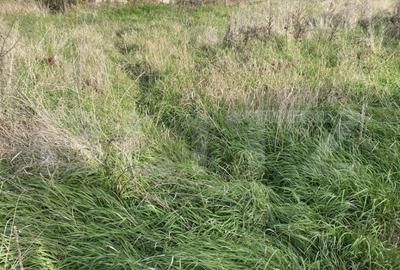 Teren intravilan Varsolt in suprafata de 400mp si 1200 mp ex - 1