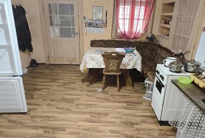 Casă cu 4 camere cu Teren 2518 Mp în Tomnatic - 6