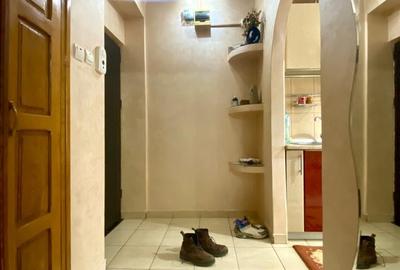 Apartament cu 2 camere semidecomandat, mobilat în Podu Roș - 10