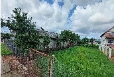 Casa si teren Nicolae Balcescu, cota parte 1/3; ID: R2684041