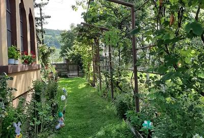 Casă cu Teren 2500 Mp în Telești - 2