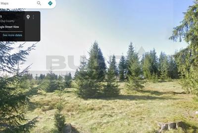 Teren de 1400 mp, în Bălcești (Beliș) - 4