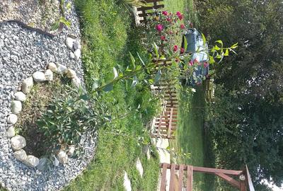 Casă cu 3 camere cu Teren 4434 Mp în Geaca - 5