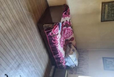 Casă cu 2 camere în Dăbâca - 4