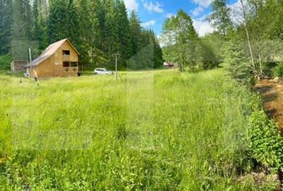 Cabana de vanzare in Poiana Horea Belis P+E+M - 2