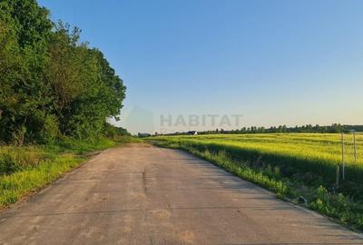 Teren | Poiana Ciolpani | Iris Orangerie - 4