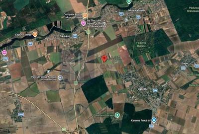 Spațiu comercial, în Moara Vlăsiei - 1