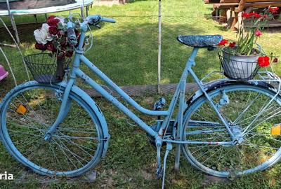 Spațiu comercial, de 270 mp, în Viștișoara - 14