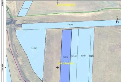 Teren de 46500 mp, în Dângeni - 6