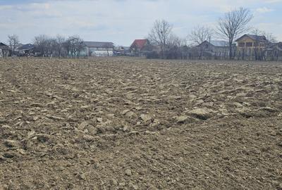 Teren de 1400 mp, în Roșu - 6