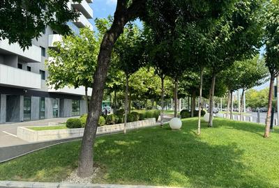 Spatiu Comercial | Stradal | 338 m2 | Trafic intens | Vitralii | - 12