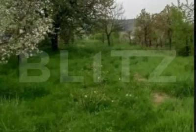 Casă cu 2 camere cu Teren 2315 Mp în Central - 4