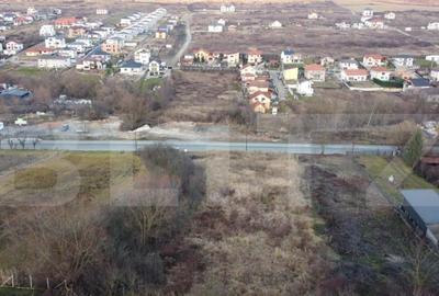 Teren de vanzare - Valea Chintaului - 2