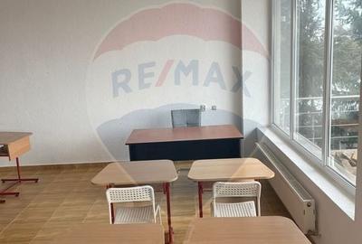 Casă individuală cu 11 camere cu Teren 4200 Mp în Corbeanca - 13