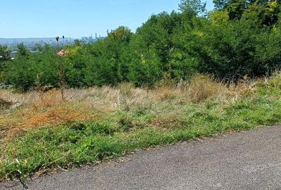 Teren Construcții intravilan de 4371 mp, în Copăcelu - 4